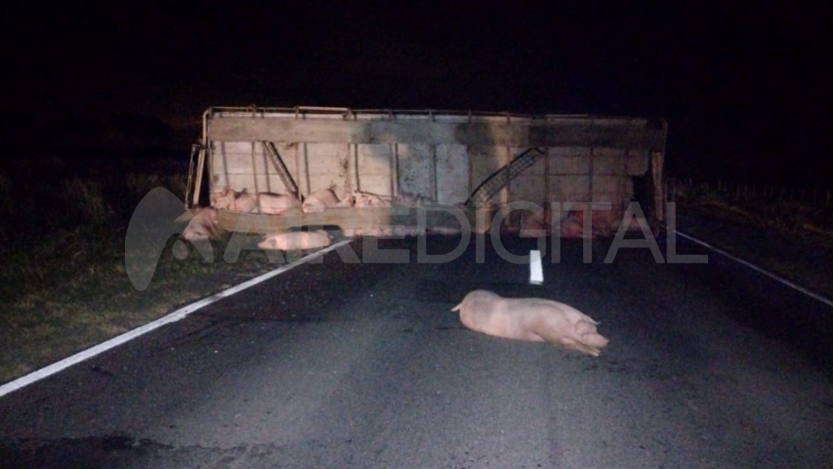 La carga quedó desparramada sobre la ruta y la banquina.