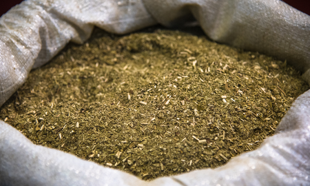 Crearon el instituto nacional de la yerba mate Crearon el instituto nacional de la yerba mate