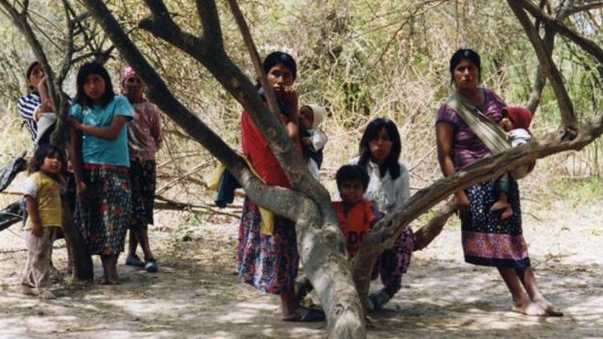 Mujeres indígenas en la pandemia: se profundizan las desigualdades y se potencian las redes solidarias