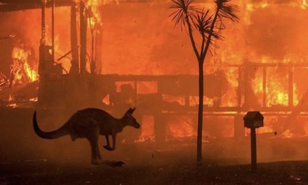 afirman que hay 24 detenidos por provocar los incendios en australia afirman que hay 24 detenidos por provocar los incendios en australia