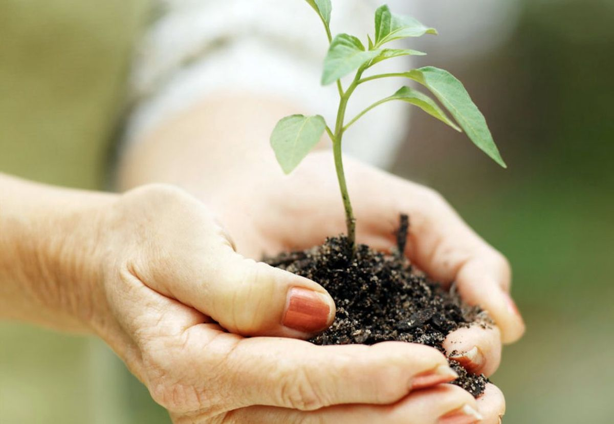 Día Mundial de Protección de la Naturaleza