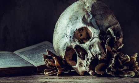 Tres lecturas de Halloween que renovarán tu concepto del terror literario. Tres lecturas de Halloween que renovarán tu concepto del terror literario.