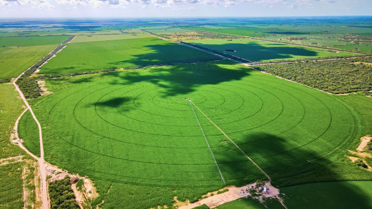 Fertirriego con pivots