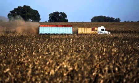 menos flete, mas margen: la plataforma que busca cambiar la venta de granos en argentina