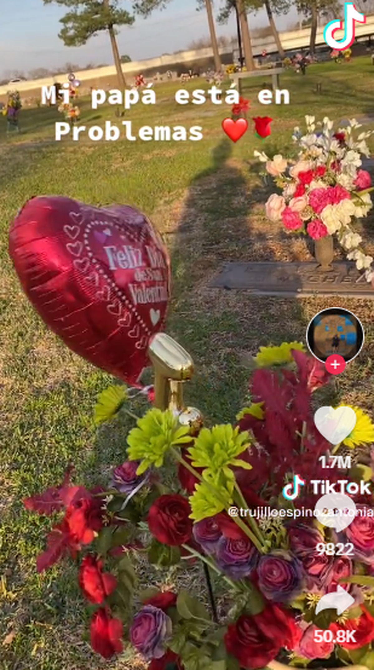 Una mujer grabó la increíble secuencia cuando fue a visitar la tumba de su padre junto a su madre en un cementerio. Una mujer grabó la increíble secuencia cuando fue a visitar la tumba de su padre junto a su madre en un cementerio.