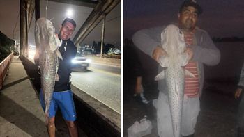 Furor en Santa Fe por la