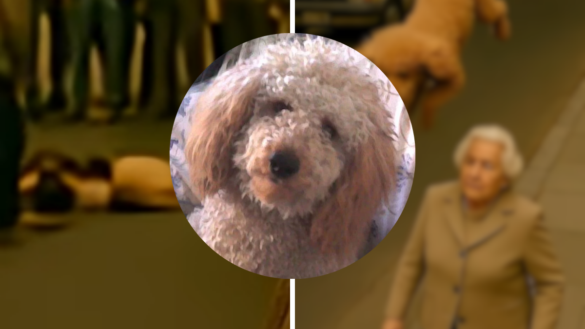 El trágico accidente en Caballito que marcó la historia de Buenos Aires