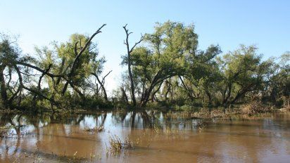 Aire de Santa Fe | Humedales Jaaukanigas.jpg