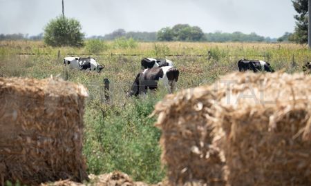 Según indicaron desde el organismo, se trata de plazos más flexibles para determinar mora y las posibilidades de acceso a crédito. Según indicaron desde el organismo, se trata de plazos más flexibles para determinar mora y las posibilidades de acceso a crédito.