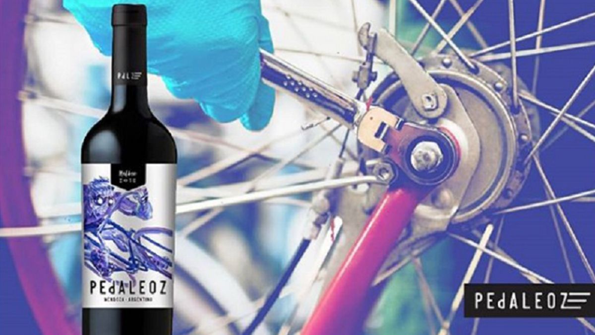 Vino Pedaleoz te ayuda a poner a punto tu bici en tiempos de pandemia