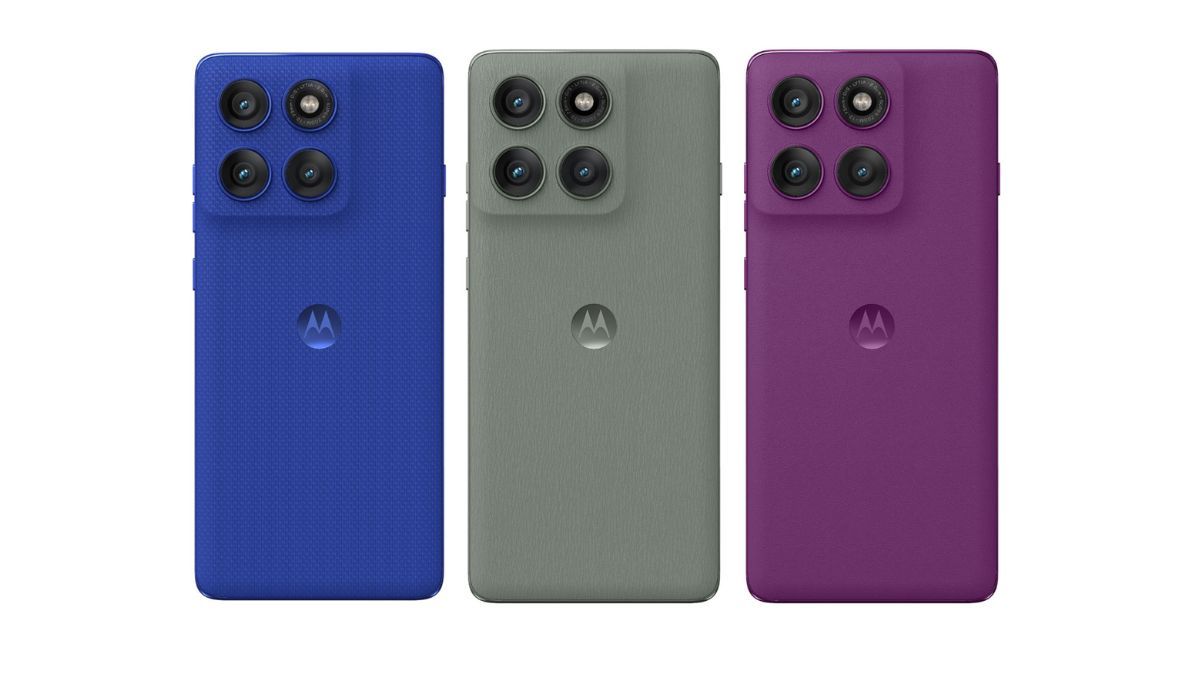 La variedad de colores. La variedad de colores.