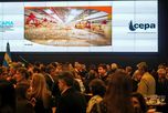 La avicultura celebró su día con un consumo récord, pero advirtió que necesita más exportaciones e inversiones para seguir creciendo La avicultura celebró su día con un consumo récord, pero advirtió que necesita más exportaciones e inversiones para seguir creciendo