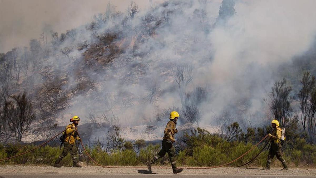 El incendio forestal de El Bolsón avanza y ya consumió más de 10.000 hectáreas. 
