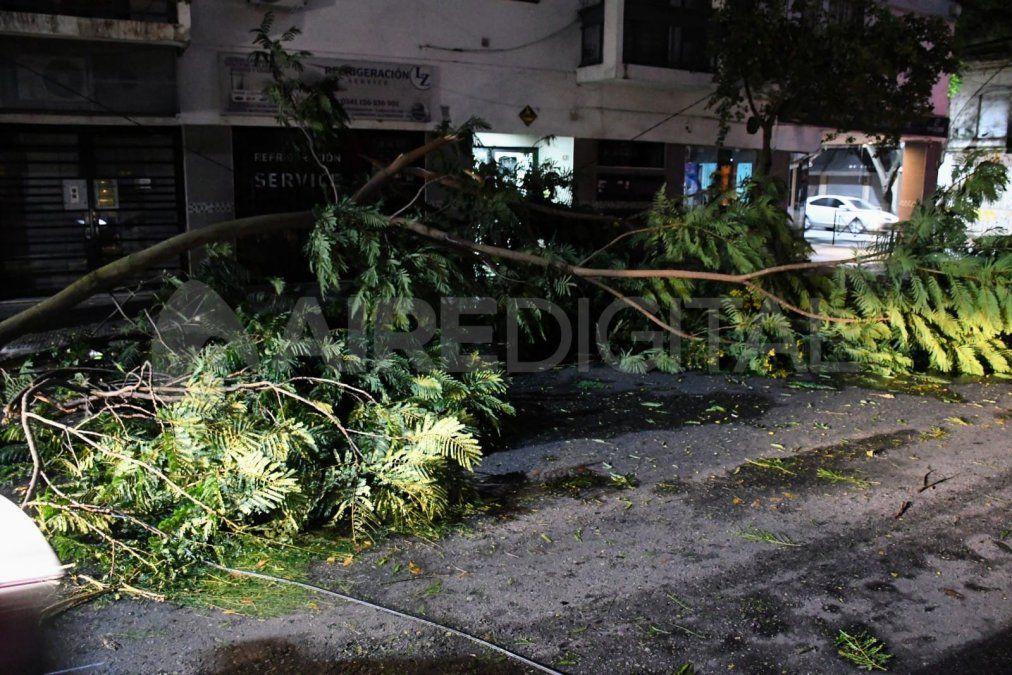 Ramas caídas sobre las calles de la ciudad de Santa Fe.