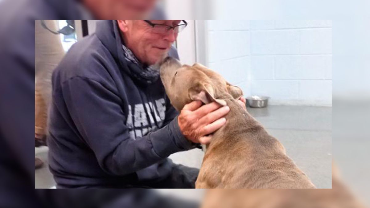 Después de 200 días sin verlo