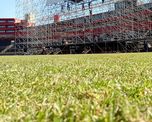 Así quedó el césped de Colón tras el recital de La Renga Así quedó el césped de Colón tras el recital de La Renga