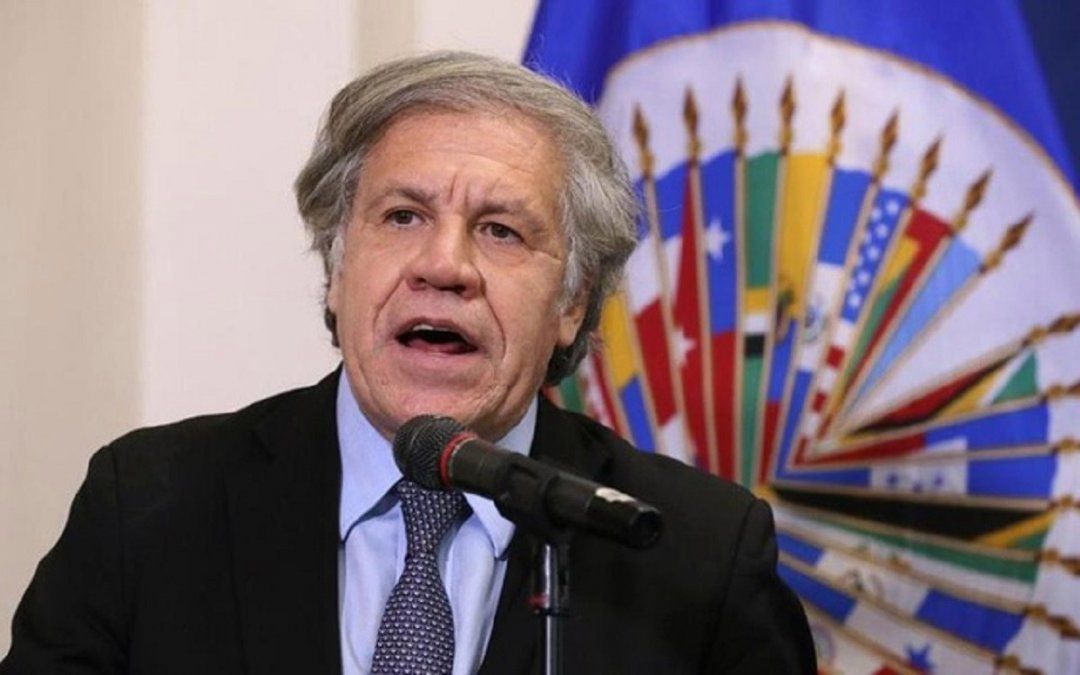 El secretario general de la OEA denunció que dos argentinos se infiltraron en la misión de auditoría