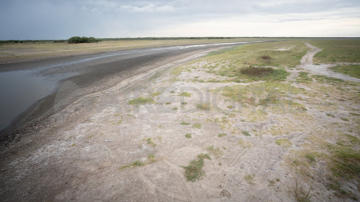 El arroyo Golondrina