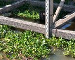 Un nuevo hidrómetro, instalado sin aviso en el dique 2 del puerto de Santa Fe, hizo que la altura del río bajara 16 centímetros (foto ilustrativa). Un nuevo hidrómetro, instalado sin aviso en el dique 2 del puerto de Santa Fe, hizo que la altura del río bajara 16 centímetros (foto ilustrativa).