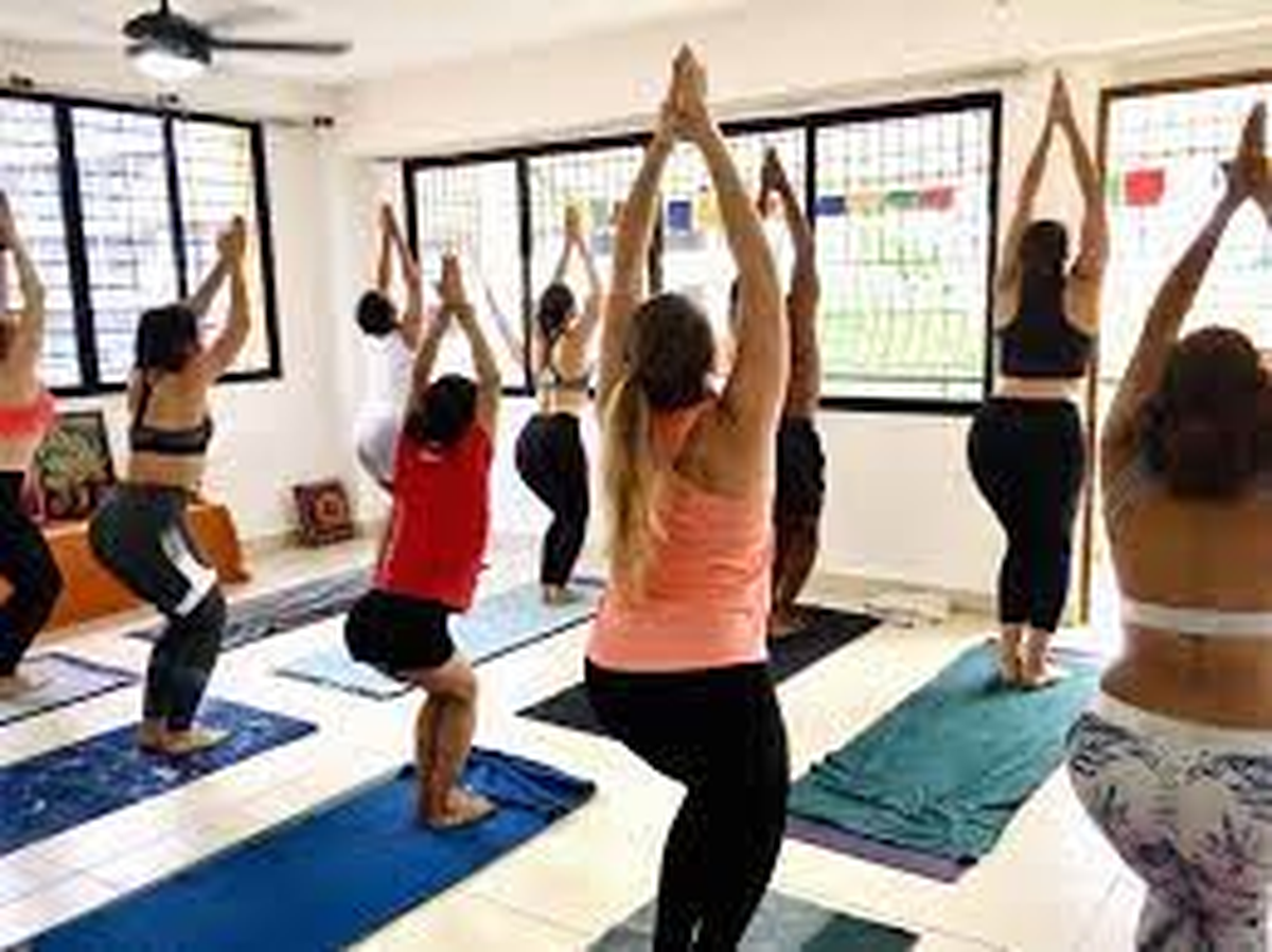 Dharma Yoga Center