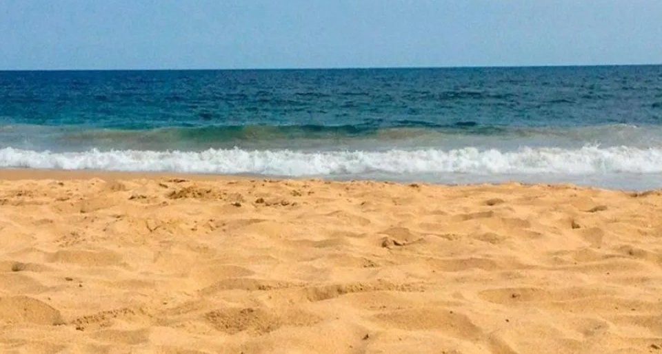 Hallaron un extraño y deforme “monstruo” marino de tres metros en una playa