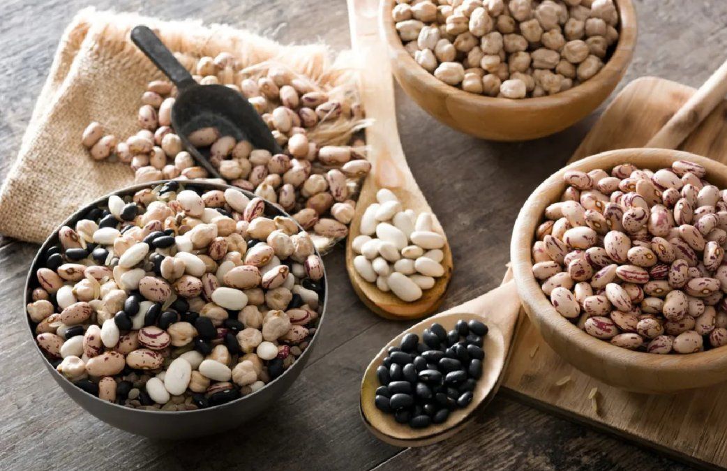Científicas del CONICET quieren producir harina de porotos para elaborar nuevos alimentos