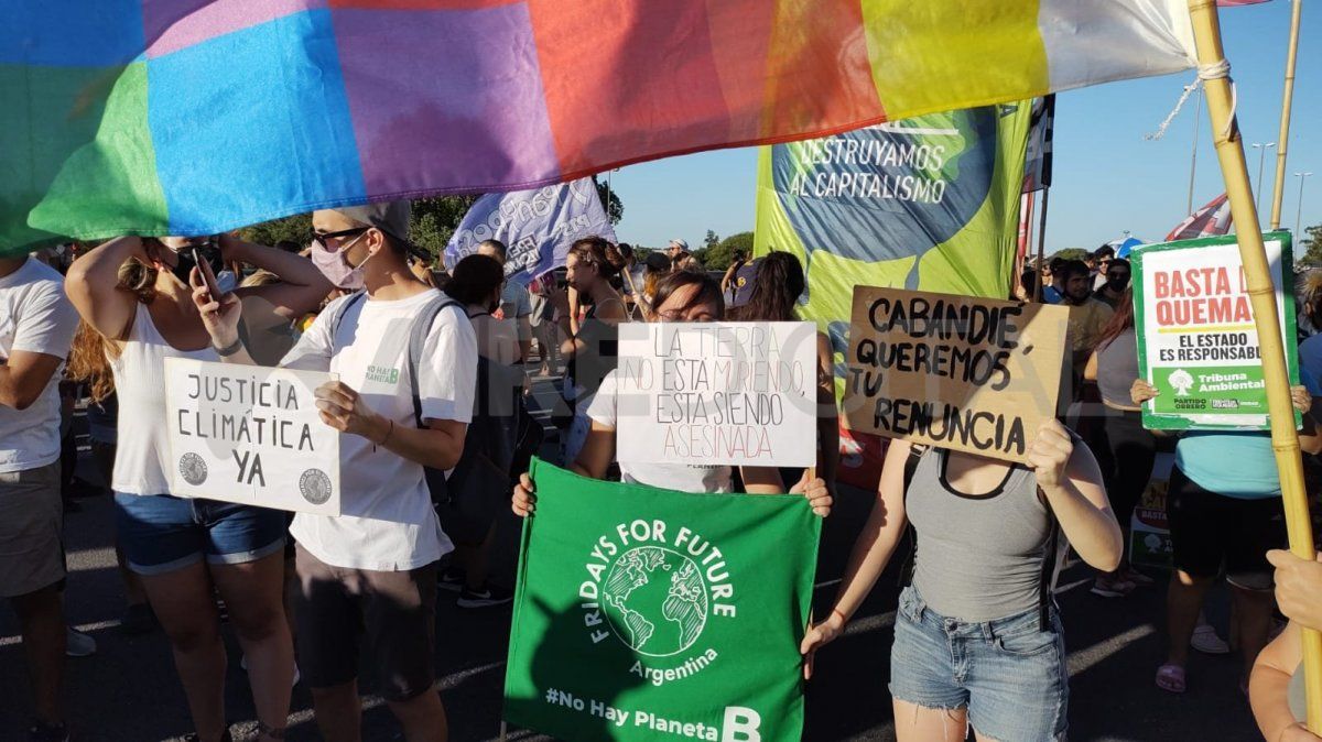 El sábado 8 de enero se realizó en Rosario una nueva movilización para pedir que el Estado proteja los humedales del Delta del Paraná