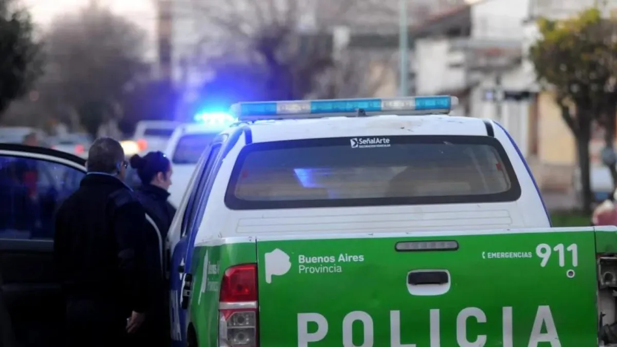 El adolescente de 17 años fue entregado por su propia madre a la policía de Mar del Plata.