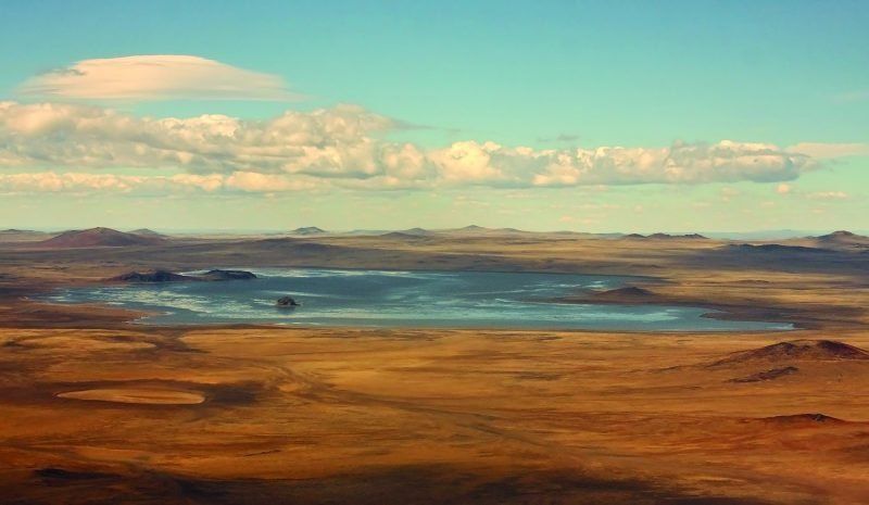 Parque Nacional Patagonia: refugio del macá tobiano