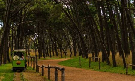 Escapada por Buenos Aires a bosques perfectos para disfrutar en familia cerca del mar y la ciudad Escapada por Buenos Aires a bosques perfectos para disfrutar en familia cerca del mar y la ciudad