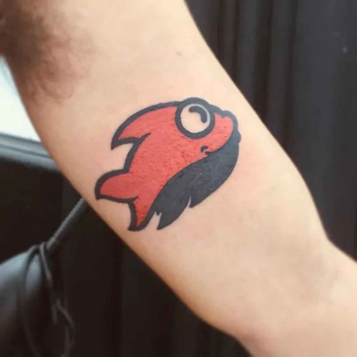 El sábalo, símbolo de pertenencia de los hinchas del Club Atlético Colón a lo largo de su historia.