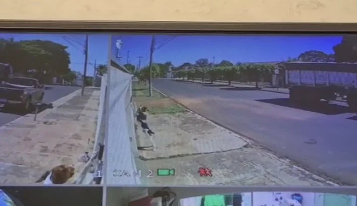 Protagonista. El instante en el que toca el timbre.