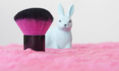 senado mexicano prohibe el uso de animales para testeo de cosmeticos senado mexicano prohibe el uso de animales para testeo de cosmeticos