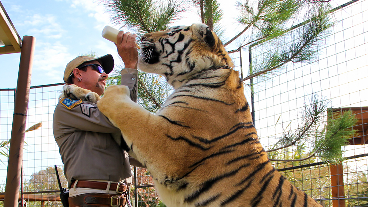 Netflix confirma la segunda temporada de Tiger King