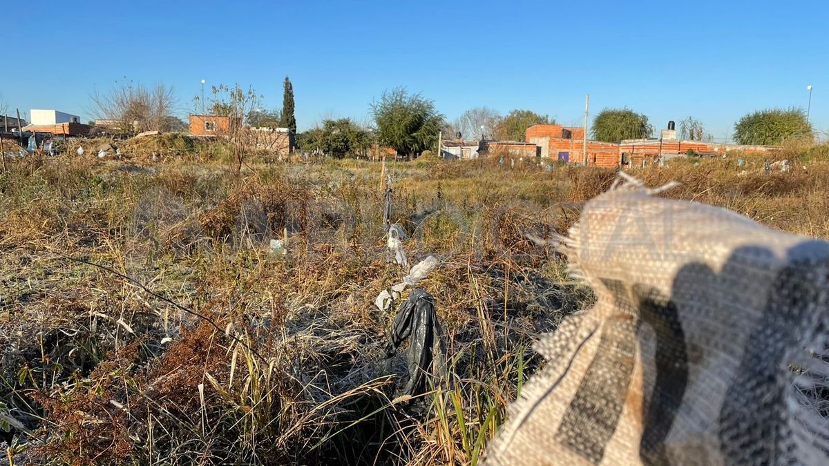 Palos, bolsas y algunos otros elementos son rastros del intento de usurpación del viernes.