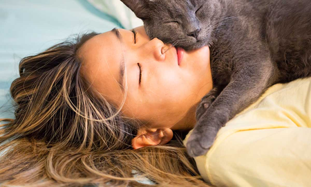 Las verdaderas razones por la que los gatos duermen arriba de sus dueños Las verdaderas razones por la que los gatos duermen arriba de sus dueños