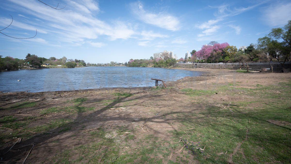 Se está evaluando la calidad del agua y la profundidad de la laguna para determinar si es viable habilitar la zona norte del Lago artificial como balneario en los próximos meses. Se está evaluando la calidad del agua y la profundidad de la laguna para determinar si es viable habilitar la zona norte del Lago artificial como balneario en los próximos meses.