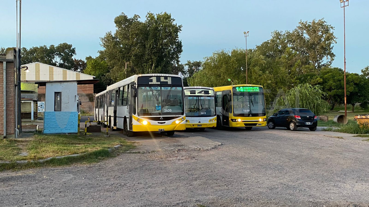 Las líneas 4 y 14 funcionan de manera habitual en la ciudad de Santa Fe.