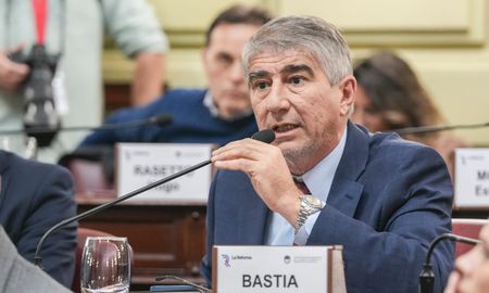 Fabián Bastia, convencional constituyente de Santa Fe. Fabián Bastia, convencional constituyente de Santa Fe.