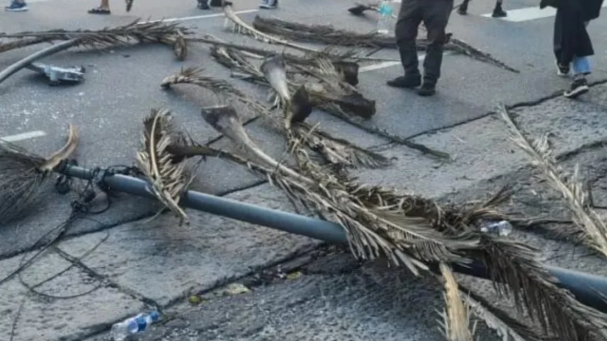 El hecho ocurrió en pleno centro de la ciudad y generó mucha preocupación.