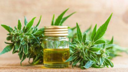 Aire de Santa Fe | cannabis 3.jpg