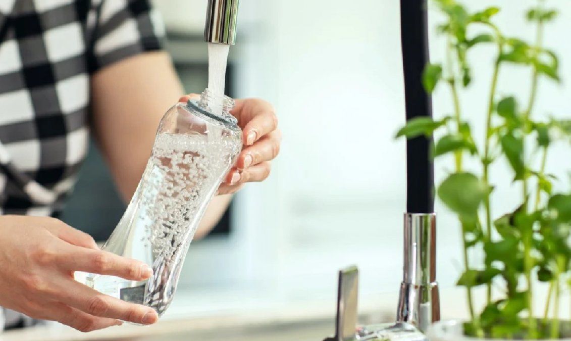 Cuánta agua por día necesitamos tomar realmente