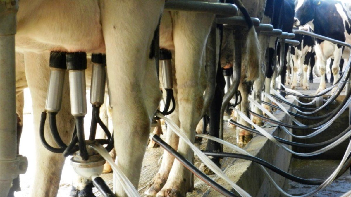 Históricamente Expoagro no había podido generar espacios puntuales de intercambio para la cadena láctea.