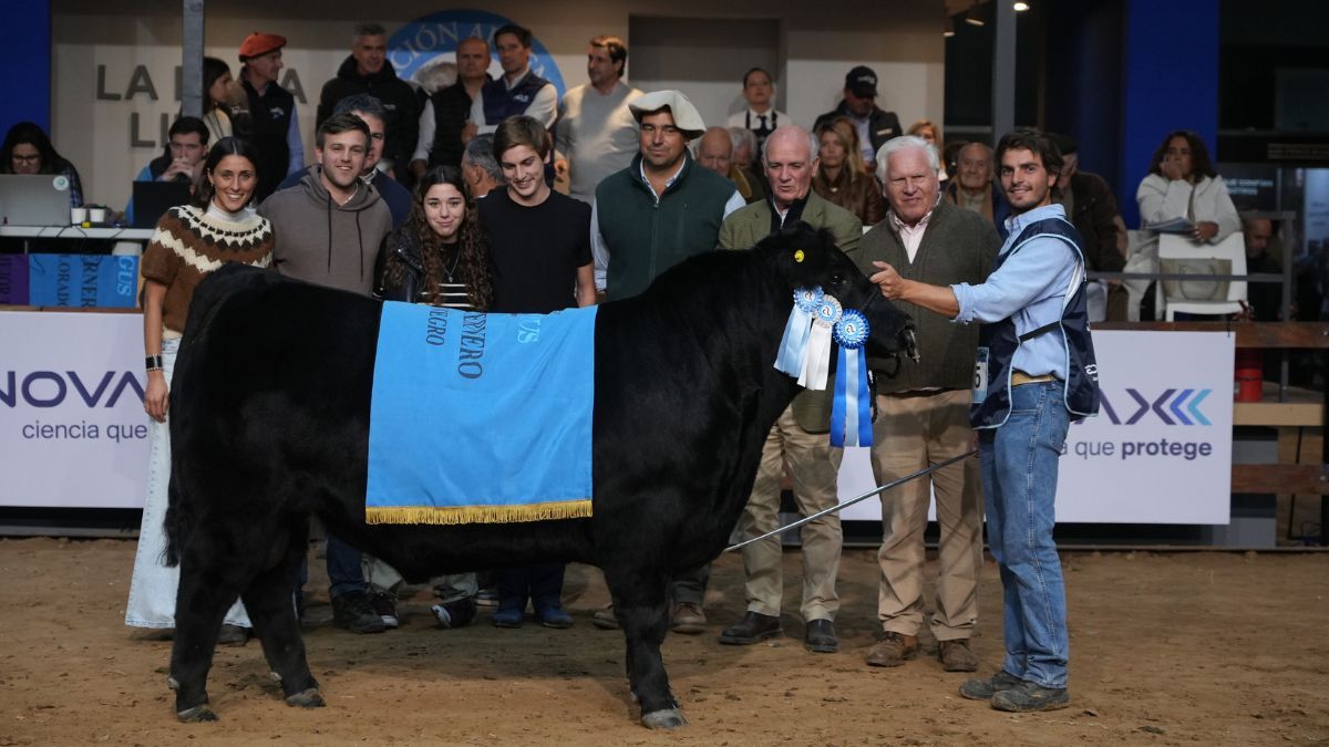 El premio al Mejor Ternero Negro fue para el lote 545 de Cabaña Santa Cecilia.