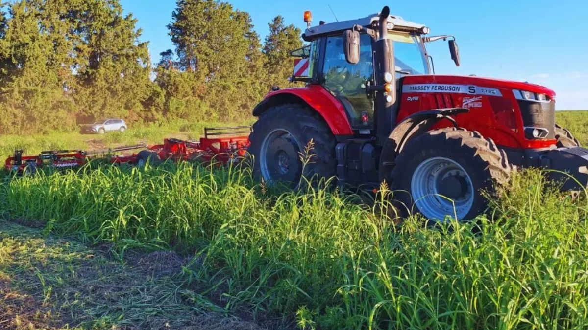 El control de malezas no se limita solo al uso de herbicidas. En el INTA Paraná, se están evaluando otras estrategias de control mecánico y prácticas agrícolas que pueden complementar y alternar con los herbicidas. El control de malezas no se limita solo al uso de herbicidas. En el INTA Paraná, se están evaluando otras estrategias de control mecánico y prácticas agrícolas que pueden complementar y alternar con los herbicidas.