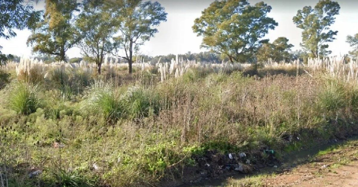 Macabro hallazgo de cuerpo semidesnudo de mujer a metros de colectora de Autopista Ezeiza-Cañuelas