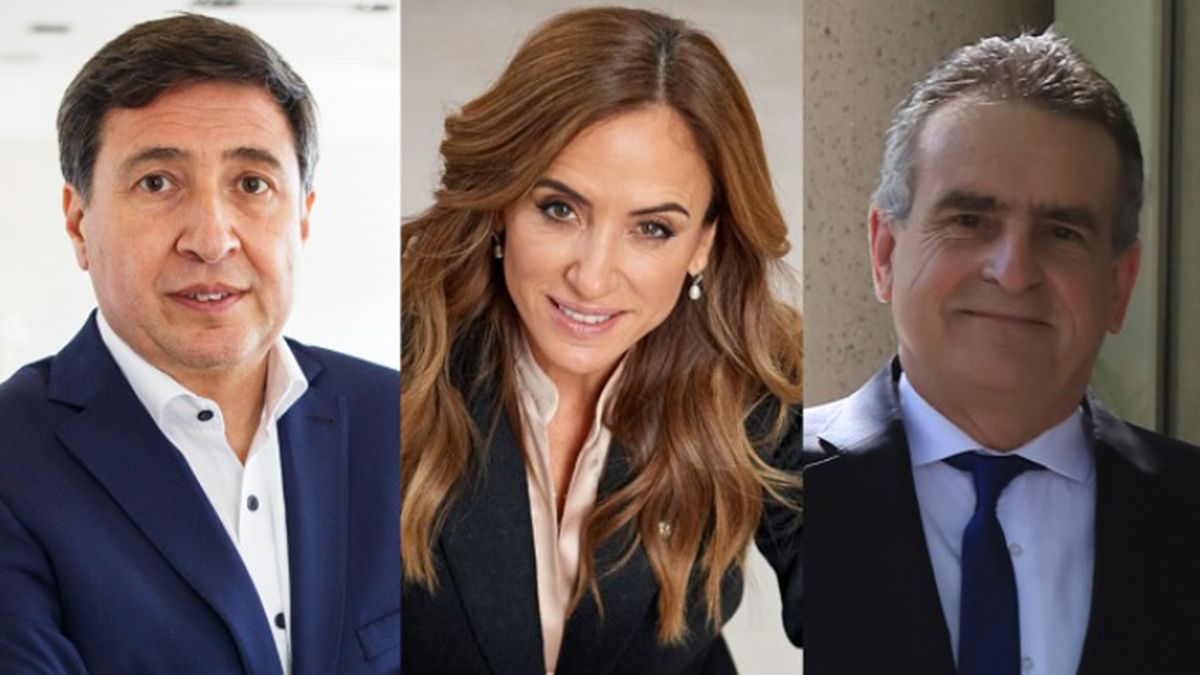 Los dos casos más resonantes son los de los ministros de Desarrollo Social