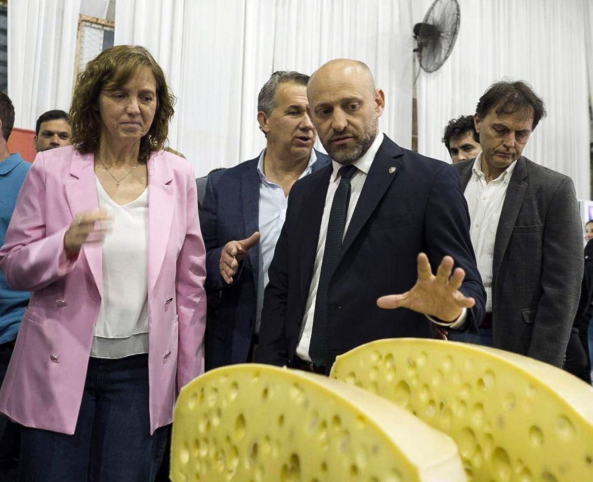 Producción con sello santafesino: más de 350 hormas compitieron en el Concurso Nacional de Quesos