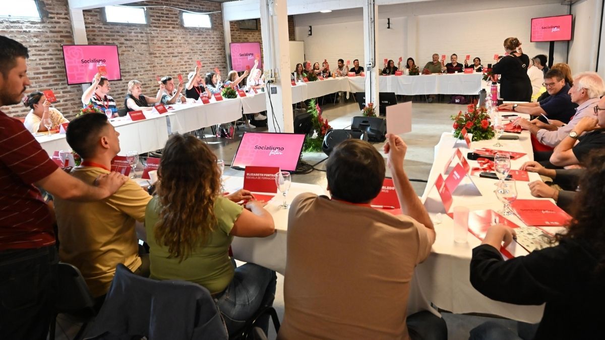 El PS reunió a sus representaciones provinciales en un Consejo Federal.