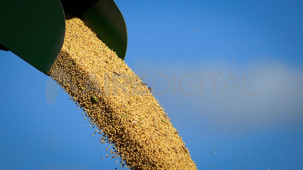 “Soy muy optimista, creo que la herramienta es buena y genuina”, dijo Manzur.